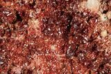 Glittering, Ruby Red Vanadinite Crystals on Barite - Morocco #278236-1